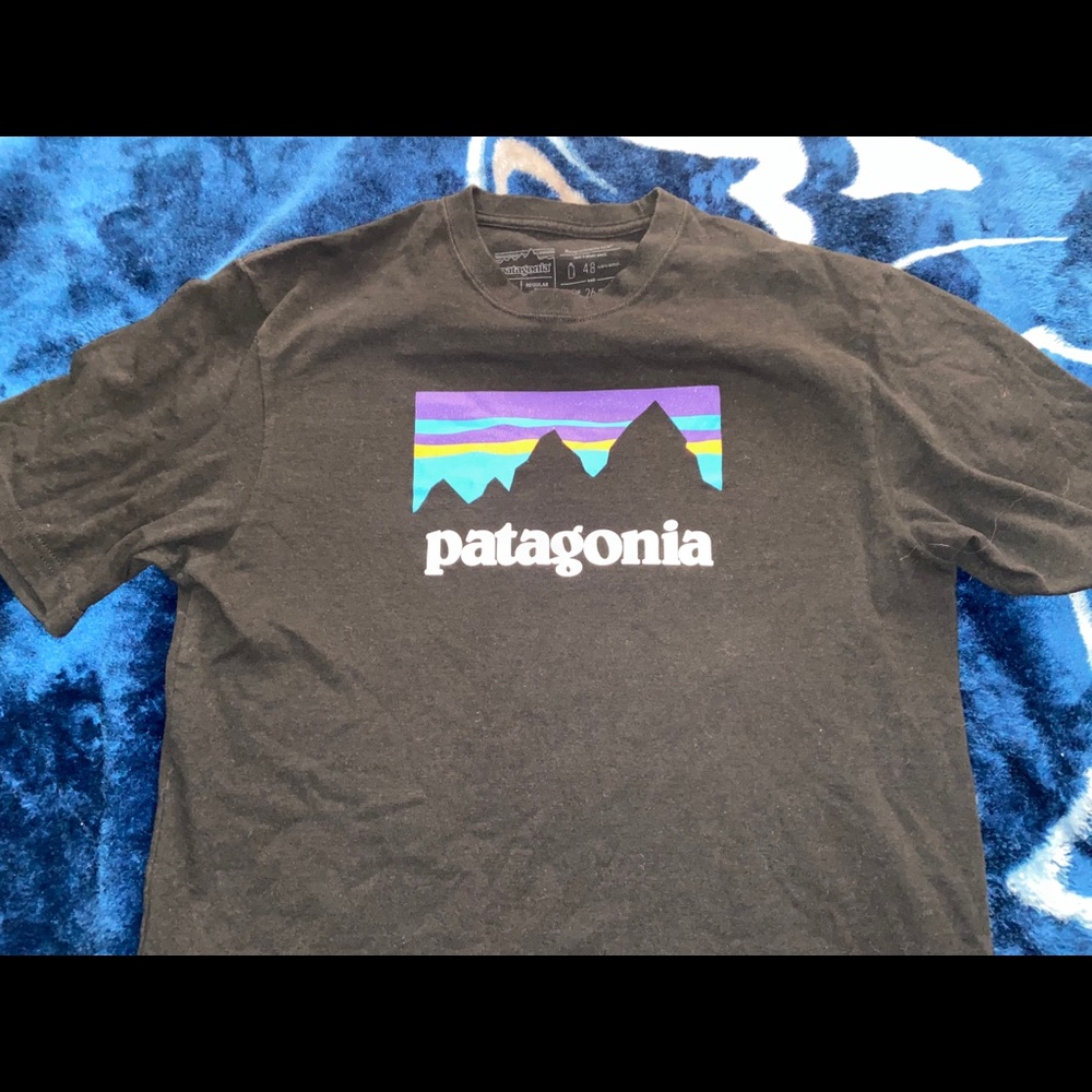 ORIGINAL Patagonia Sunset Short Sleeve Shirt